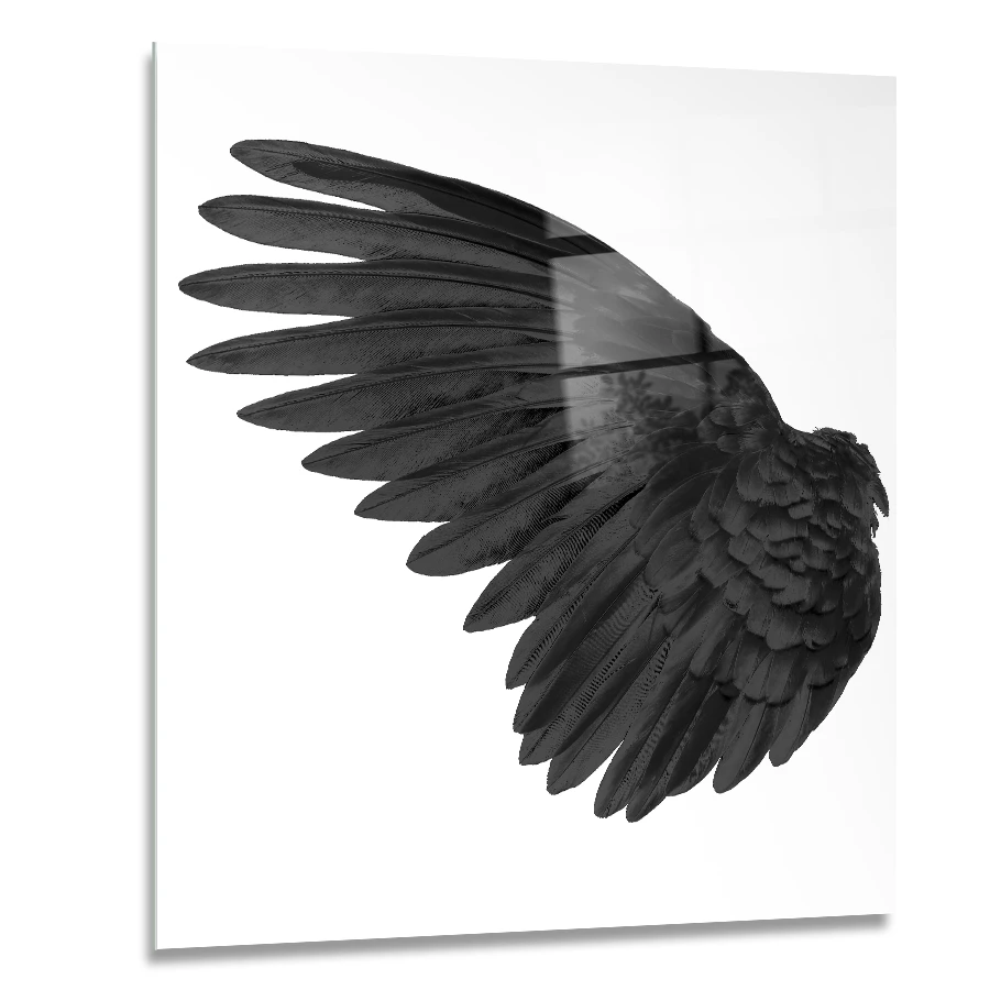 154054638-black-wings-on-white-background-60x60 A black wing on a white background, printed on a size 60X60 glass wall art.