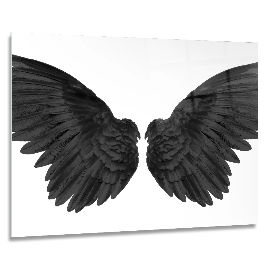154054638-black-wings-on-white-background-90x60 a 90X60 glass wall print image of a black wings with a white background