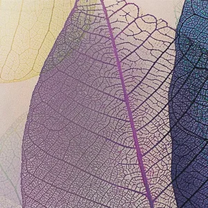 A glass wall art print of purple, yellow and blue leaves