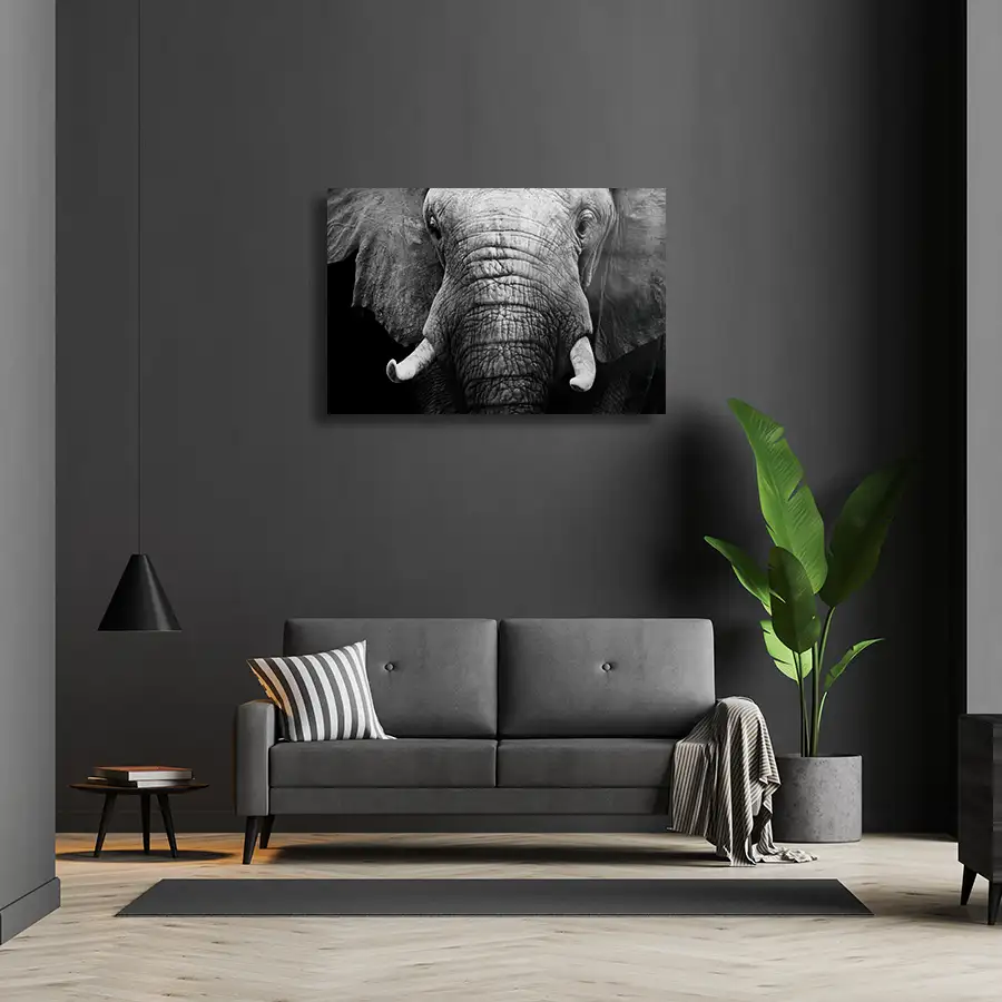 60779662_lifestyle A black and white landscape glass print of an African elephant's face, hanging on a grey wall.
