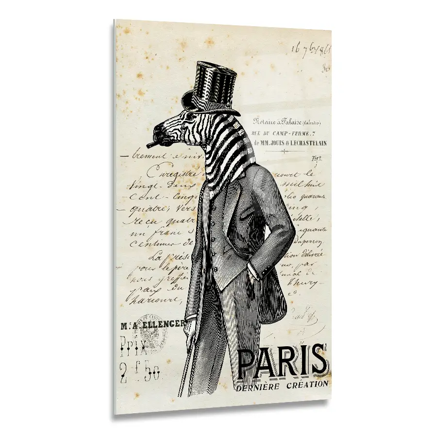 57017868-zebra-gent-60x90 A humerous image depicting a Zebra standing on two legs, wearing a suit and top hat printed as a glass wall art piece in size 60x90