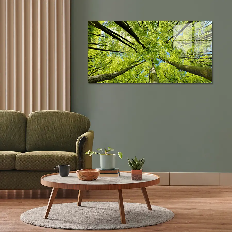 219080737-beech-tree-forest-lifestyle Glass wall art piece of trees towering into the sky, with green leaves hanging on the wall of a modern living room