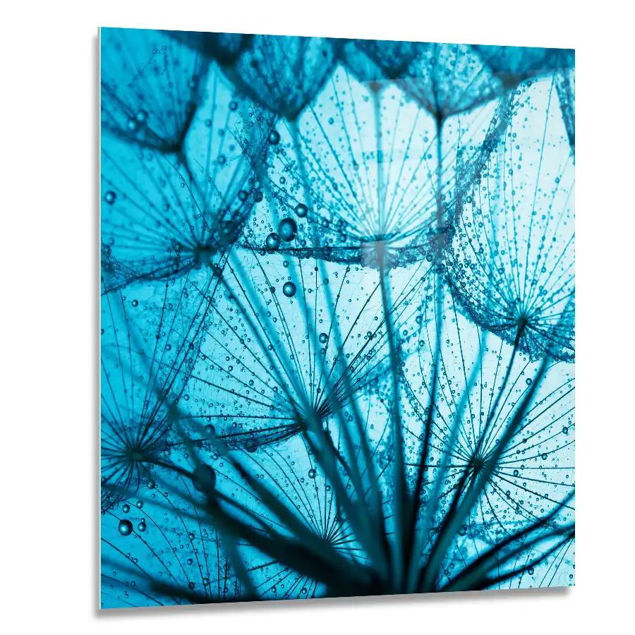 710838368-blue-dandelion-60x60 Square glass wall art of Close-up of dandelion seeds in a surreal blue tone with water droplets on their delicate structures.