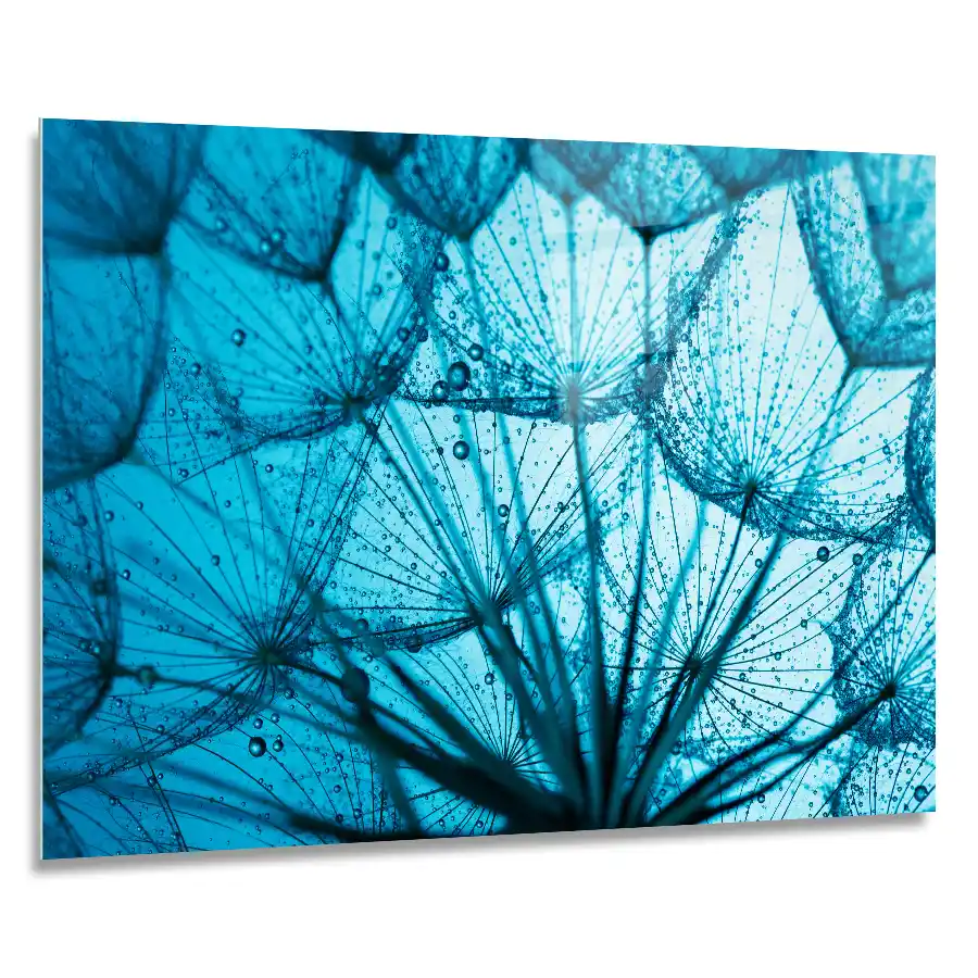 710838368-blue-dandelion-90x60
